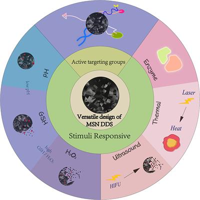 A Review of Mesoporous Silica Nanoparticle Delivery Systems in Chemo-Based Combination Cancer Therapies